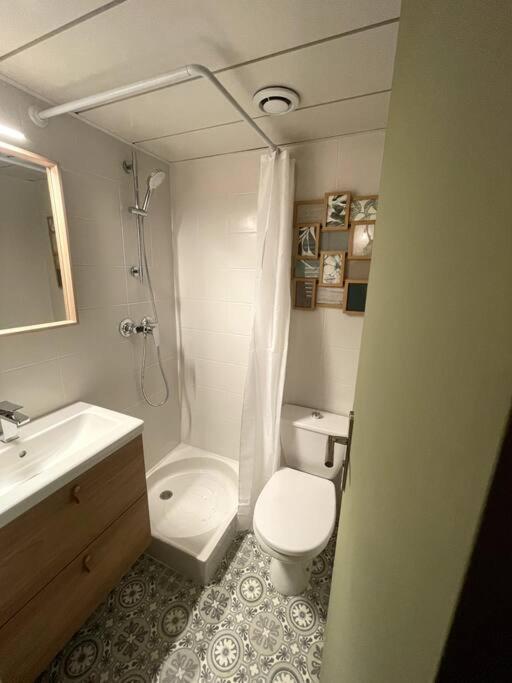 Studio Avec Terrasse Hyper Centre Vichy Dış mekan fotoğraf